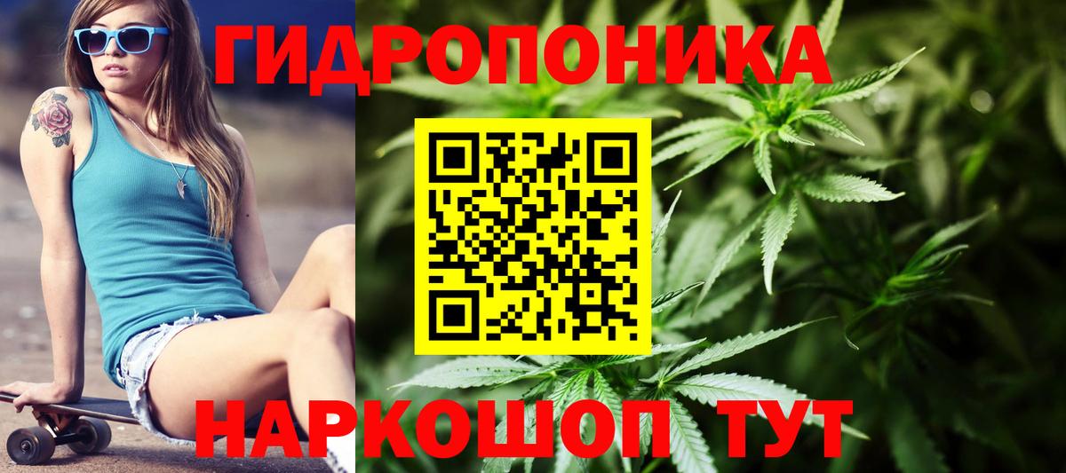 Бошки марихуана Ganja Кудымкар